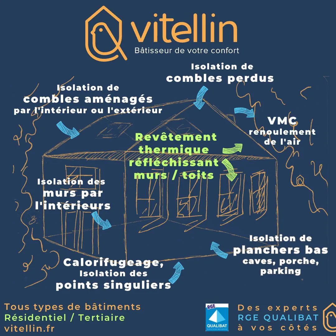 kansei-tv_annu-entr_vitellin_3
