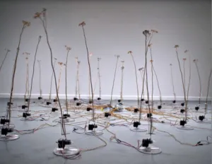 David Bowen, les faits du hasard, exposition, kansei, architecture, art contemporain