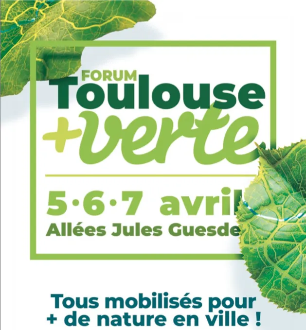 toulouse, vert, kansei